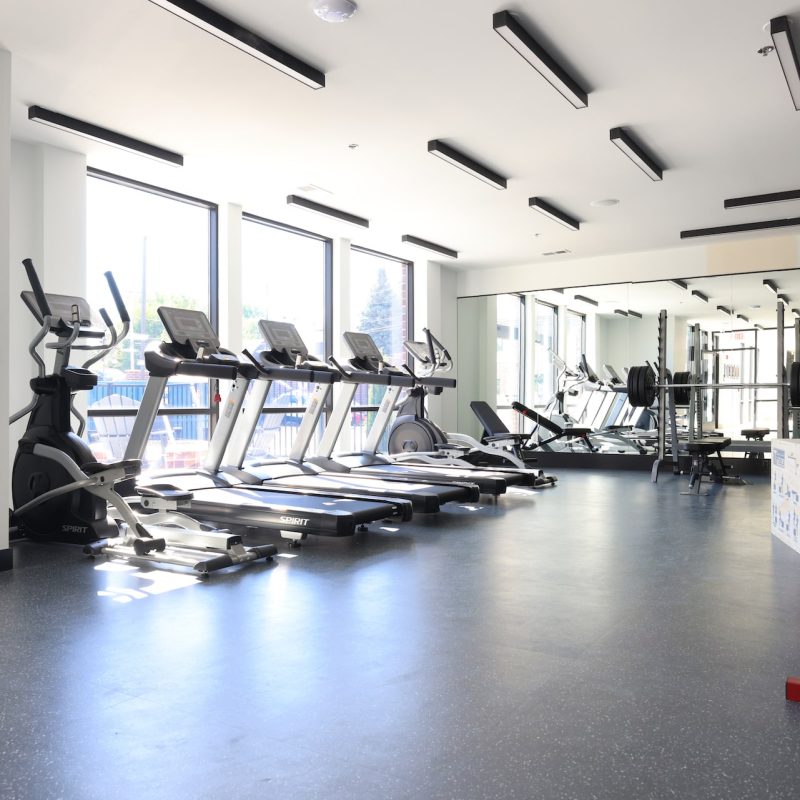 Station 250 main fitness center with variety of cardio and strength equipment, large windows, and modern design Mundelein IL
