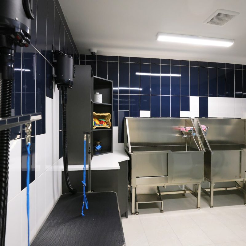 Dog washing station at Station 250 Apartments