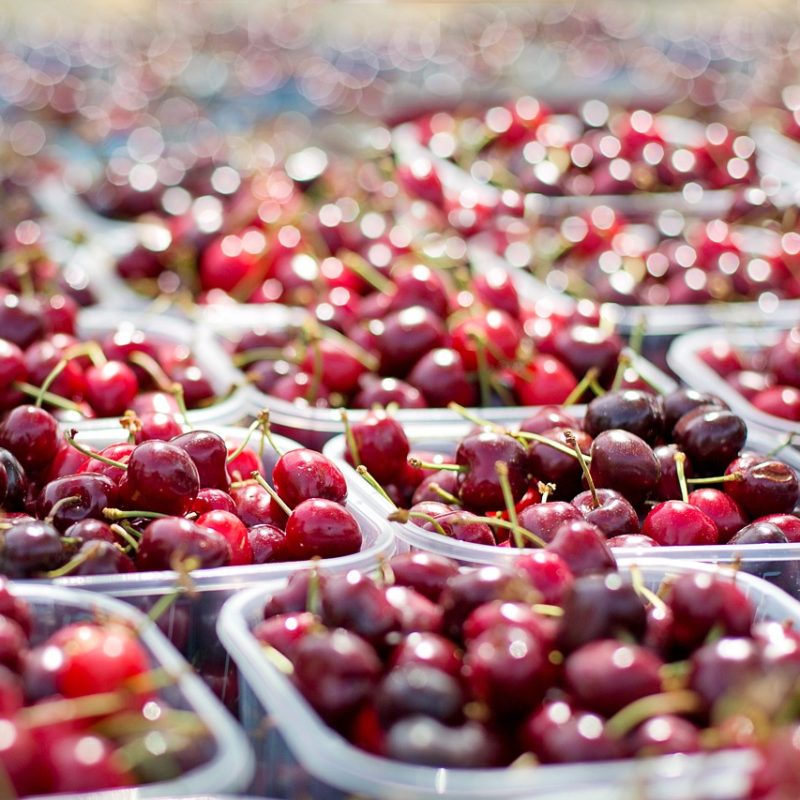 Fresh cherries at Mundelein farmers market showcasing local summer events and festivals near Station 250 luxury apartments